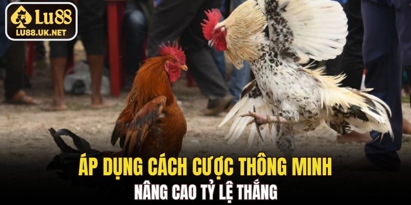 Áp dụng cách cược thông minh nâng cao tỷ lệ thắng
